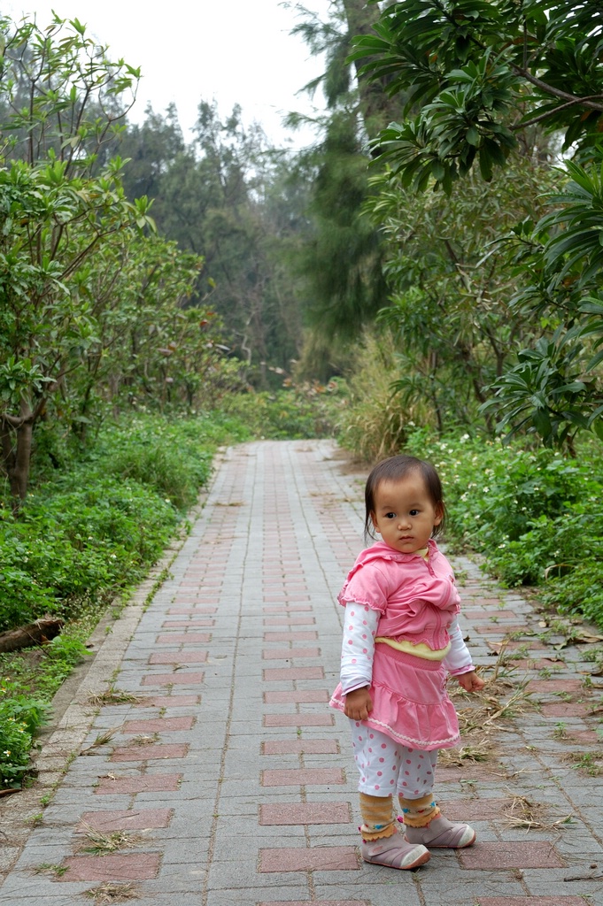 DSC_2874e.jpg[按此處可切至下一頁]