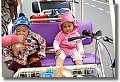 DSC_2817e.jpg