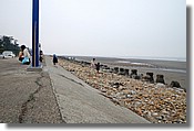 DSC_2918e.jpg