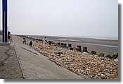 DSC_2919e.jpg