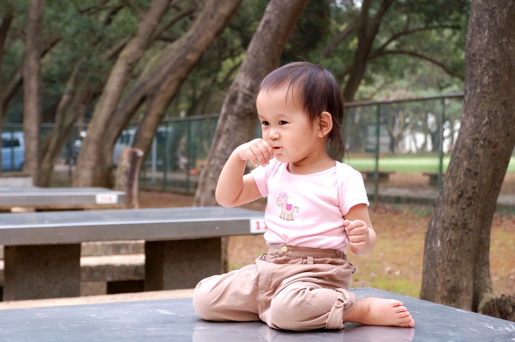 12_DSC_3408e.jpg[按此處可切至下一頁]