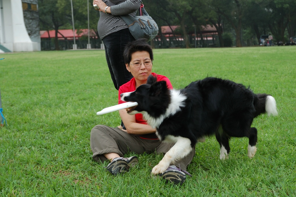 DSC_3431.jpg[按此處可切至下一頁]