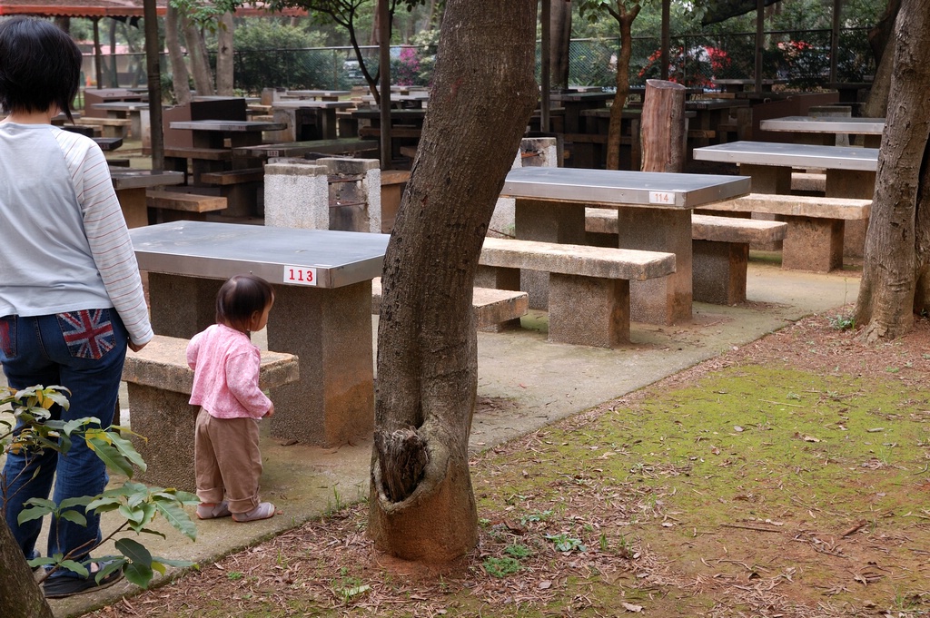 DSC_3469e.jpg[按此處可切至下一頁]