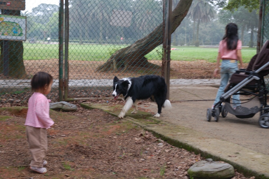 DSC_3485e.jpg[按此處可切至下一頁]
