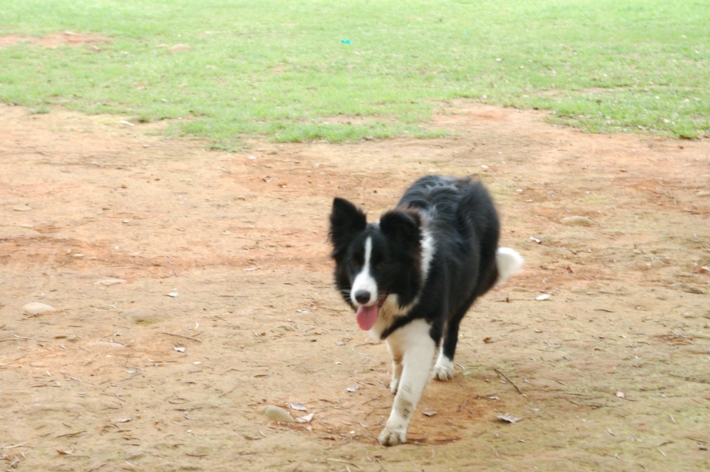 DSC_3516e.jpg[按此處可切至下一頁]