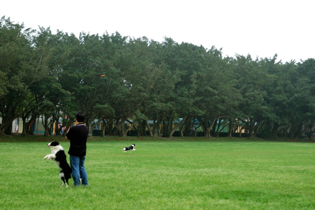 DSC_3555e.jpg[按此處可切至下一頁]