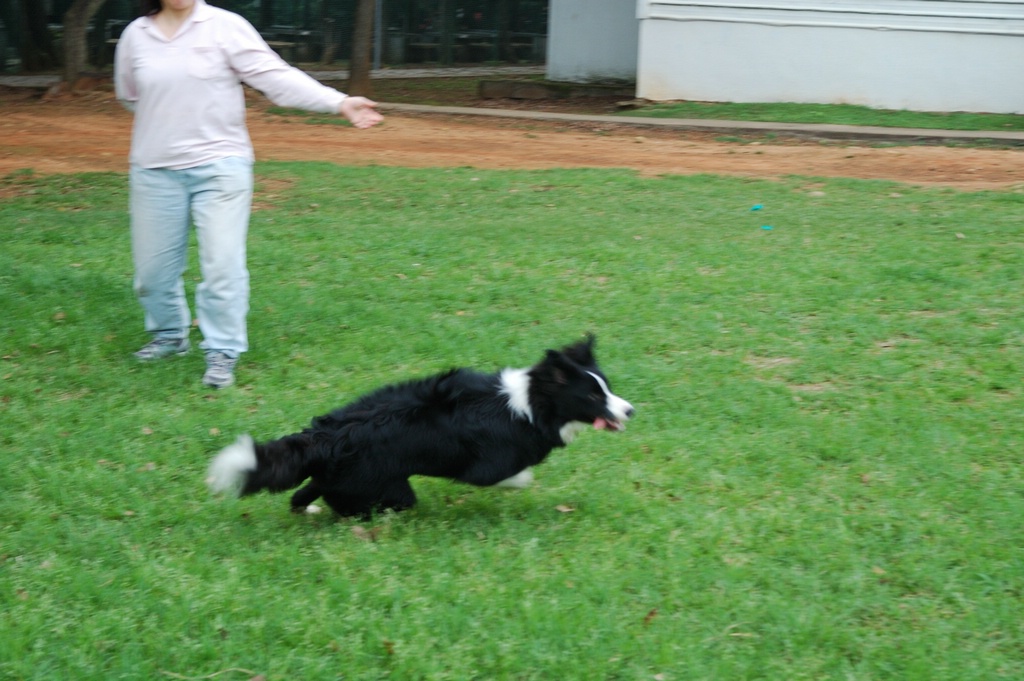 DSC_3568e.jpg[按此處可切至下一頁]