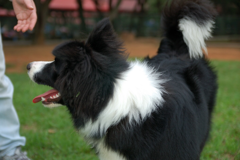 DSC_3573e.jpg[按此處可切至下一頁]