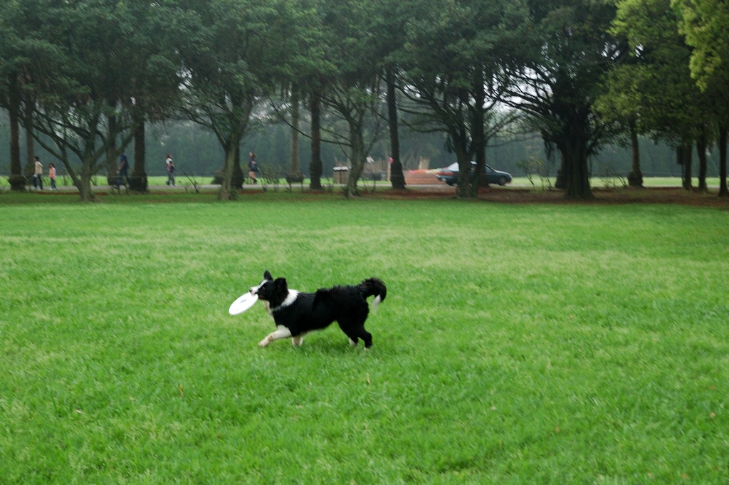 DSC_3577e.jpg[按此處可切至下一頁]