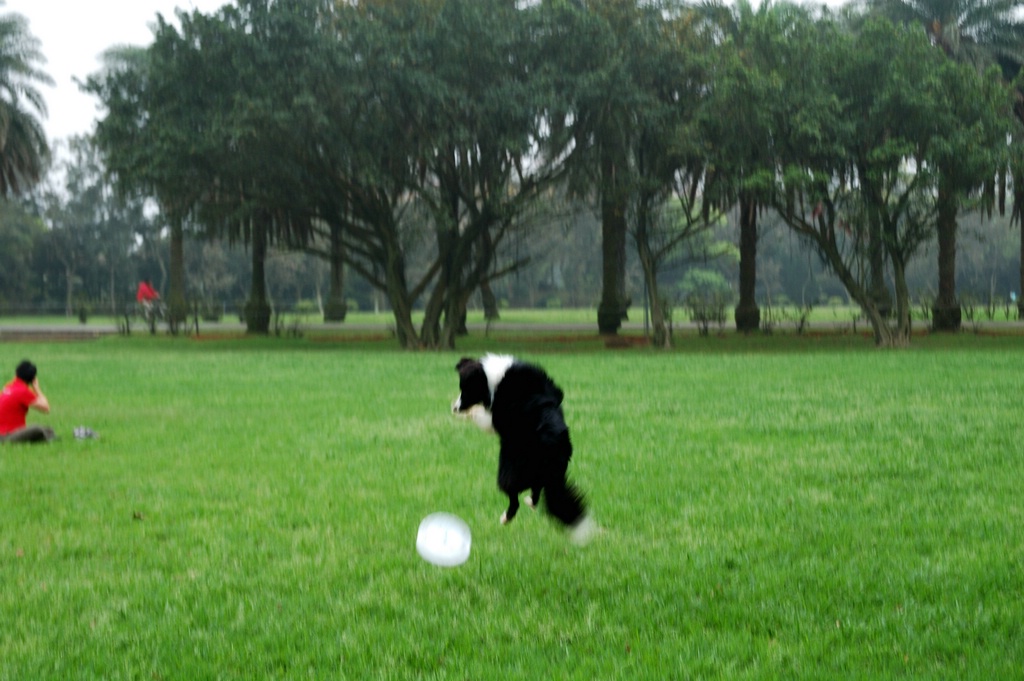 DSC_3585e.jpg[按此處可切至下一頁]
