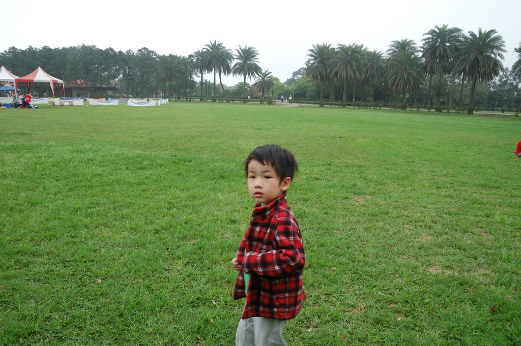 DSC_3589e.jpg[按此處可切至下一頁]