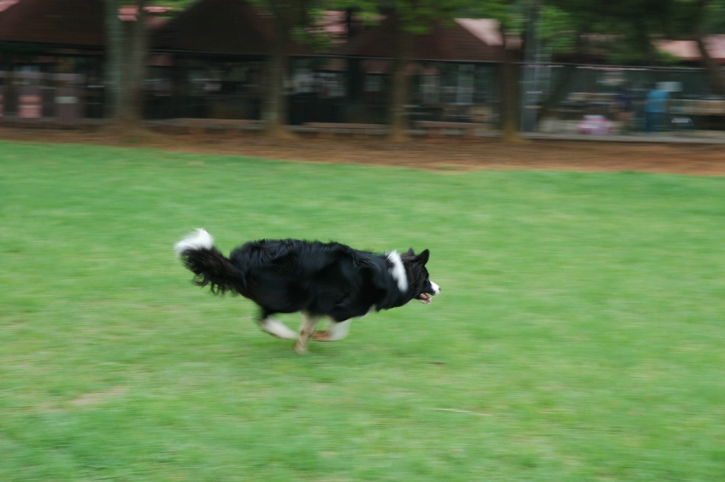 DSC_3590e.jpg[按此處可切至下一頁]
