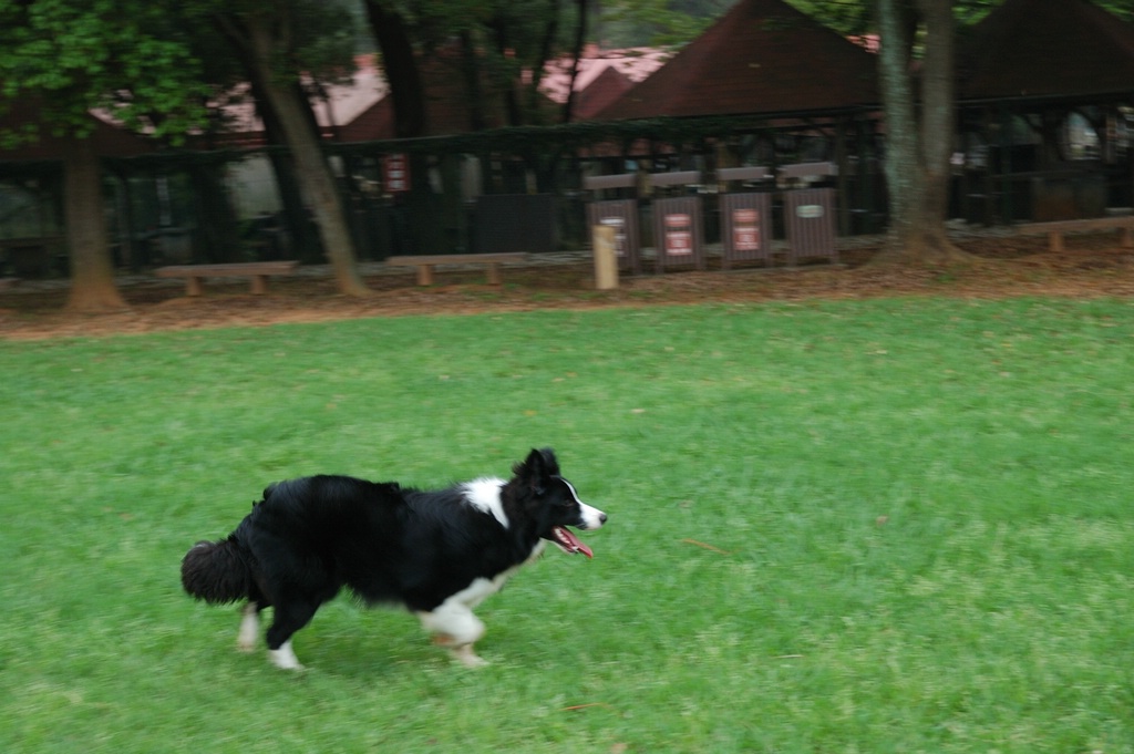 DSC_3595e.jpg[按此處可切至下一頁]