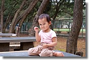 DSC_3405e.jpg