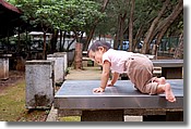 DSC_3409e.jpg