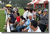 DSC_3413e.jpg