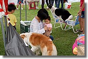 DSC_3415e.jpg