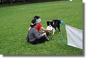 DSC_3420.jpg