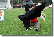 DSC_3432e.jpg