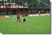 DSC_3434e.jpg