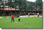 DSC_3435e.jpg