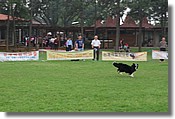 DSC_3436c.jpg