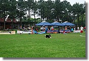 DSC_3437e.jpg