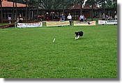 DSC_3438e.jpg