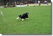 DSC_3439e.jpg