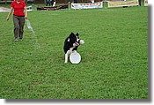 DSC_3440.jpg