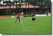 DSC_3442e.jpg
