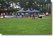 DSC_3444e.jpg