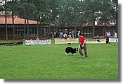 DSC_3446.jpg