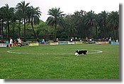 DSC_3450e.jpg