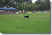 DSC_3451.jpg