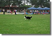 DSC_3452.jpg