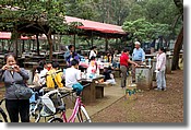 DSC_3455e.jpg