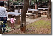DSC_3469e.jpg