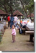 DSC_3472e.jpg