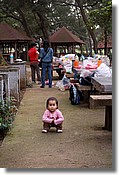 DSC_3473e.jpg