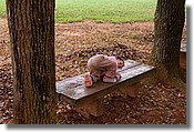 DSC_3475e.jpg