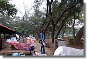 DSC_3484e.jpg