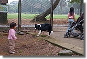 DSC_3485e.jpg