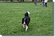 DSC_3495e.jpg