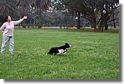 DSC_3497e.jpg