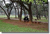 DSC_3501e.jpg