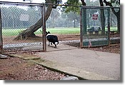 DSC_3512e.jpg