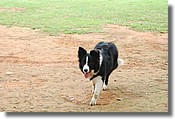 DSC_3516e.jpg