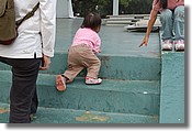 DSC_3533.jpg
