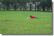 DSC_3536e.jpg